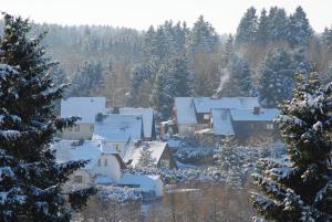 eine Gruppe von schneebedeckten Häusern in der Unterkunft Guest house Mückenheim in Benneckenstein