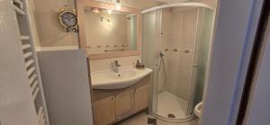 a bathroom with a sink and a shower at Sarajevo Boutique in Sarajevo +29 photos