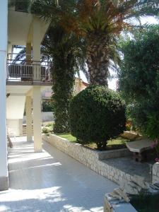 Zahrada ubytování Apartments Marina