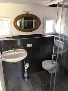 a bathroom with a sink and a toilet and a mirror at Ferienhäuser am Heidesee in Halbe +12 photos