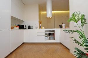 Kuchyňa alebo kuchynka v ubytovaní Luxury Domus Apartment 2