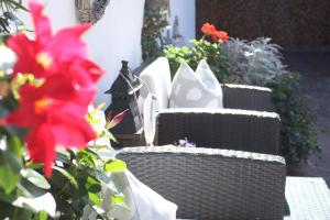 Imagen de la galería de Ferienwohnungen Innerhofer, en Rifiano 31 fotos más
