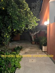 Φωτογραφία από το άλμπουμ του Domus Alice σε Monserrato