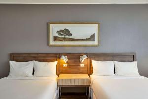 Postel nebo postele na pokoji v ubytování Radisson Blu Plaza El Bosque Santiago