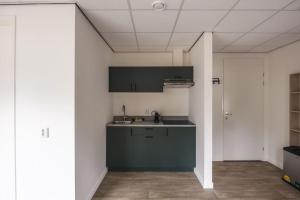 a kitchen with a sink and black cabinets in a room at Tiny House 'Veluwehuisje' in Voorthuizen