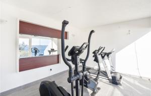Posilňovňa alebo fitness centrum v ubytovaní Two-Bedroom Apartment In Stanici