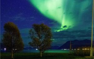 Příroda nedaleko prázdninového domu