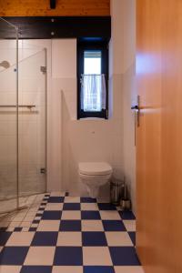 Un baño con inodoro y ducha de cristal. en Apartment Anna - FeWo 56qm2 - Hausen-Wied, en Hausen-Wied 14 fotos más