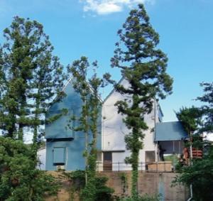 Tsushima쇼핑구마에-다목적룸的一栋白色的房子，前面有两棵树