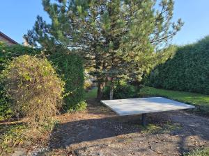 Fotografie z fotogalerie ubytování chalupa Stritez v destinaci Střítež