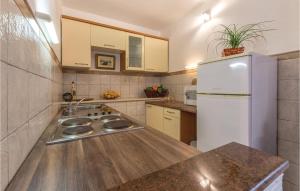 Kuchyňa alebo kuchynka v ubytovaní Holiday Home Vinisce Pod Balankinu