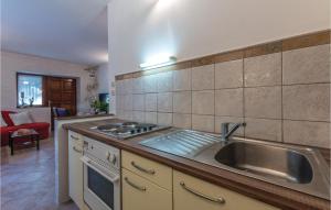 Kuchyňa alebo kuchynka v ubytovaní Holiday Home Vinisce Pod Balankinu