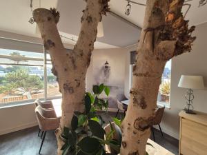 Fotografie z fotogalerie ubytování Cit'Hotel La Villa Julia v destinaci Agon Coutainville