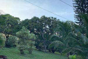 Fotografie z fotogalerie ubytování Montego Bay Hillside Retreat v destinaci Montego Bay + 13 fotografií