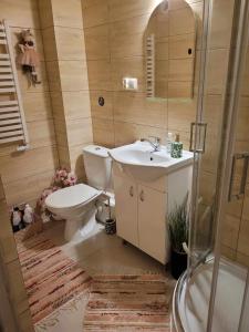 Koupelna v ubytování Apartament Biała Flaga z rowerami i podwórkiem 150m do jeziora
