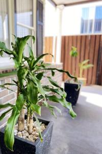 Fotografie z fotogalerie ubytování 3-Bedroom House near Train Station with Netflix v destinaci Revesby