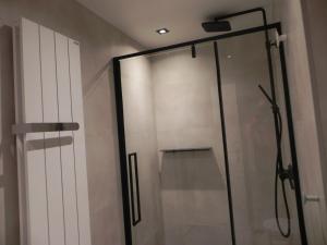 a shower with a glass door in a bathroom at Silver Sunrise Studio in De Haan
