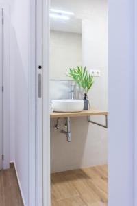 Fotografie z fotogalerie ubytování VLC HOST- B&B Fray Pedro ve Valencii