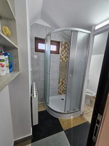 una doccia con una porta in vetro in un bagno di CĂSUȚA DIN ȘIPOT pe Cricovul Dulce a Sultanu