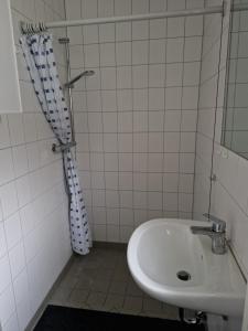 a bathroom with a sink and a shower at Landidyll Monte Gristow in Mesekenhagen