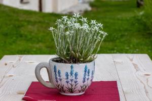 Zahrada ubytování Agriturismo Maso Runch