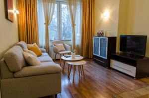a living room with a couch and a tv at VIP Apartments Sofia in Sofia