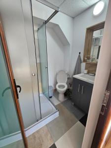 un bagno con wc e doccia in vetro di CĂSUȚA DIN ȘIPOT pe Cricovul Dulce a Sultanu