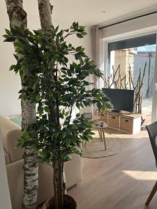 Gallery image of Appart-hôtel n 2 calme avec vue sur la piscine, petit-déjeuner, terrasse et parking in Chouzelot +35 photos