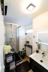 a bathroom with a shower and a sink at Double Appartement Parking Honfleur 10min plage in Honfleur