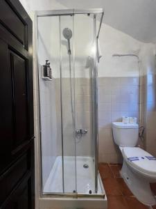 a bathroom with a shower and a toilet at Casa Benalua, Siglo XVI in Granada