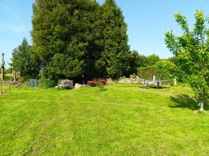 a large grass field with trees in the background at La Chèvrerie de Saint-Vigor in Saint-Vigor-dʼYmonville +6 photos