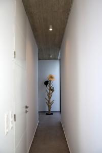 a hallway with a plant in the middle of a room at Magic Cave Villa in Tinos in Agios Sostis