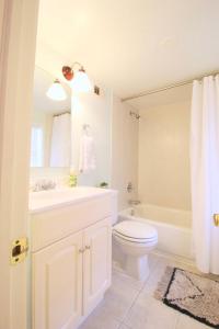 a bathroom with a sink and a toilet and a tub at Studio Apartment near RFK fields in Washington, D.C.