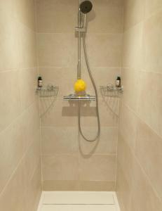 a shower with a shower head in a bathroom at Paisible escale chez l'habitant in Vitry-sur-Seine