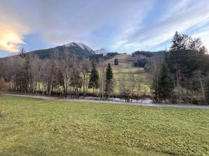 a field of grass with a mountain in the background at Studio chaleureux au pied des pistes avec parking à La Chapelle-d'Abondance - FR-1-692-61 in La Chapelle-dʼAbondance