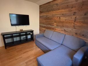 TV a/nebo společenská místnost v ubytování Charmant appartement avec parking - 37m² - FR-1-692-77