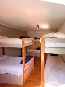 Gallery image of Flow Hostel Juquehy in Juquei