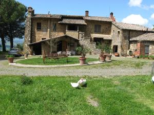 A garden outside Agriturismo Le Roghete