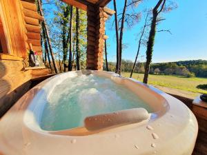 Magnifique chalets en rondins avec ou sans spa et Tipis en plaine Nature Environnement ressourçant au calme vue imprenable Lascaux SPA non disponible juillet et aout内部或周边的泳池