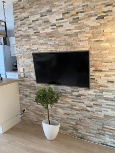 - une télévision sur un mur en briques avec une plante dans l'établissement La Résidence Fleurie, vue sur le Lac Léman, à Thonon-les-Bains