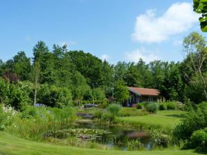 een tuin met een vijver en een huis bij Gastenverblijf Klein Eden in Olterterp