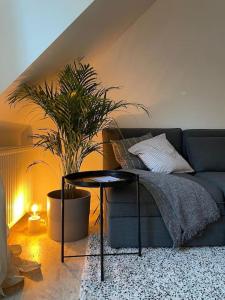 a living room with a blue couch and a table at Duplex in the historic heart of Liège - 3rd floor in Liège +4 photos