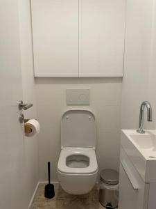 a white bathroom with a toilet and a sink at 2 bedroom duplex in the historic heart of Liège in Liège