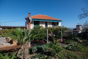a house with a palm tree in a garden at MY DALMATIA - Sea view holiday home Antonela in Dobropoljana