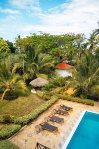a group of lounge chairs and a swimming pool at Zanoceanique Hotel in Matemwe