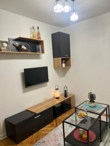 TV a/nebo společenská místnost v ubytování Aurora Apartmani Indjija