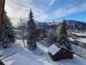 Zdjęcie z galerii obiektu Studio 4 pers avec balcon, près des remontées mécaniques - FR-1-572-149 w mieście Arâches-la-Frasse