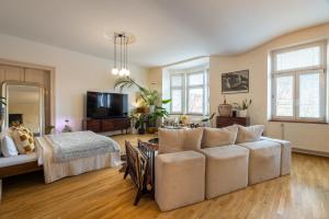 TV a/nebo společenská místnost v ubytování Apartment Ruska