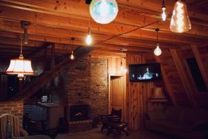 a living room with a couch and a television and a fireplace at Cabana Masiv in Comăneşti