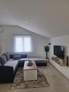 a living room with a couch and a tv at Knežević apartman in Podgorica
